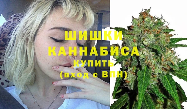 сатива Абаза