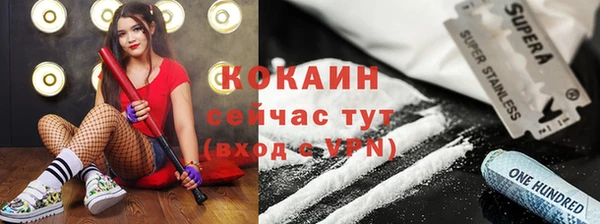 сатива Абаза
