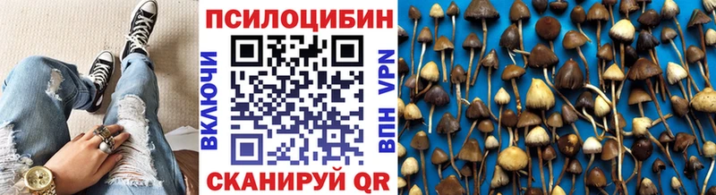 Галлюциногенные грибы GOLDEN TEACHER  hydra как зайти  Починок  где продают наркотики 
